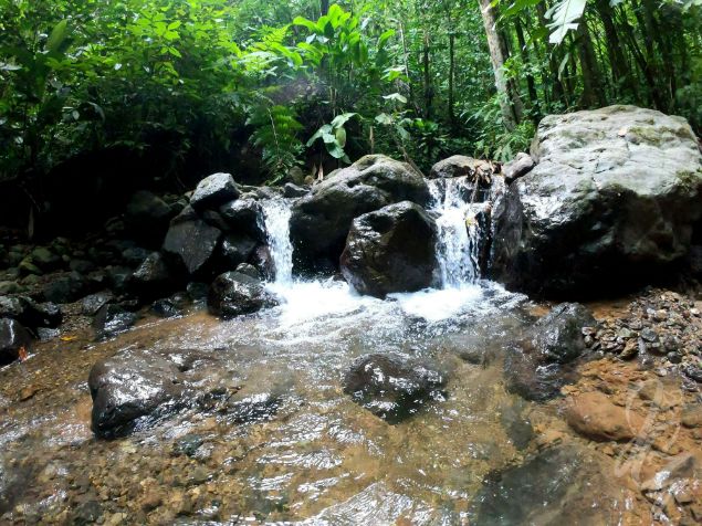 Walk to a waterfall at the Refugio Nacional de Fauna Silvestre Golfito in Costa Rica