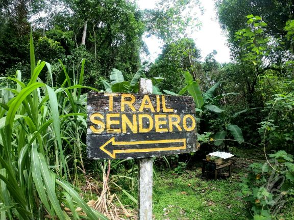 Walk to a waterfall at the Refugio Nacional de Fauna Silvestre Golfito in Costa Rica