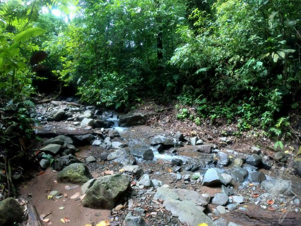 Walk to a waterfall at the Refugio Nacional de Fauna Silvestre Golfito in Costa Rica