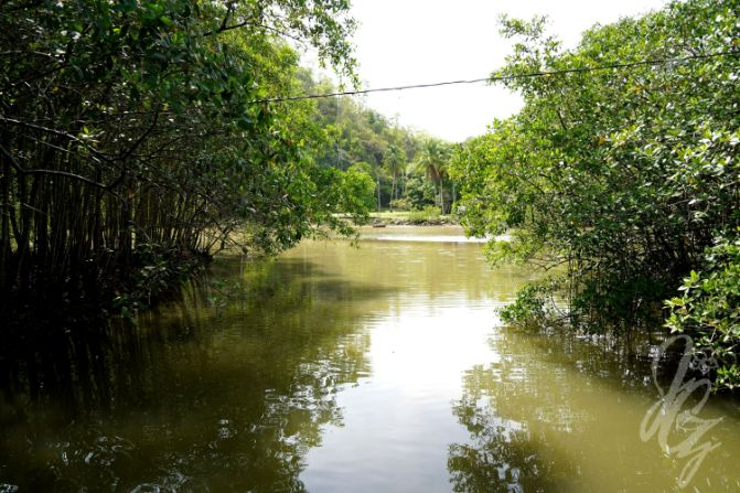 Quebrada Bonita Estuary in Jaco in Costa Rica