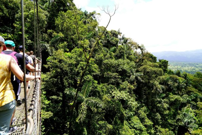Hanging Bridges & Parque Místico in La Fortuna in Costa Rica