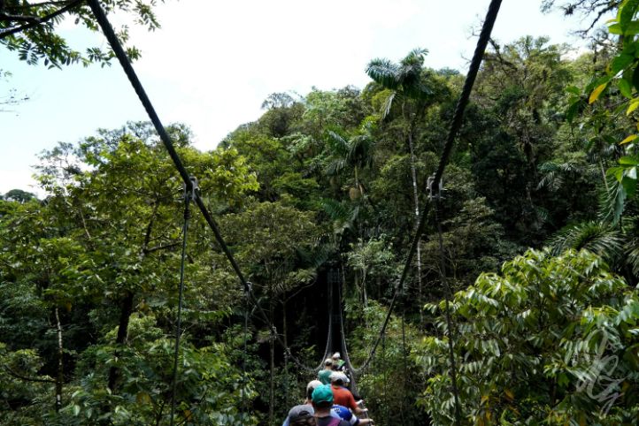 Hanging Bridges & Parque Místico in La Fortuna in Costa Rica
