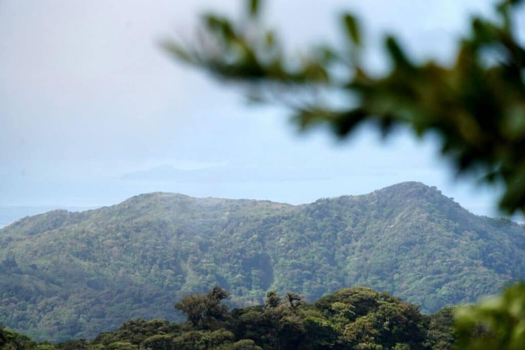 Viewpoint at Monteverde Cloud Forest in Costa Rica