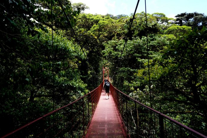 Hanging bridge at Monteverde Cloud Forest in Costa Rica