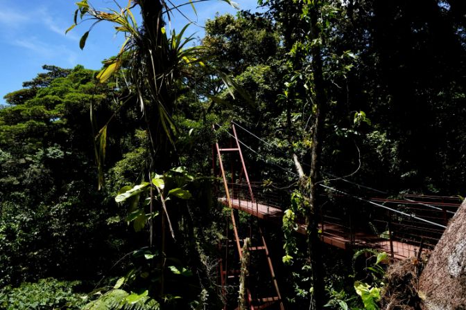 Hanging bridge at Monteverde Cloud Forest in Costa Rica