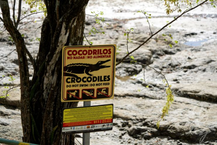 Estuary Tour near Tamarindo in Costa Rica