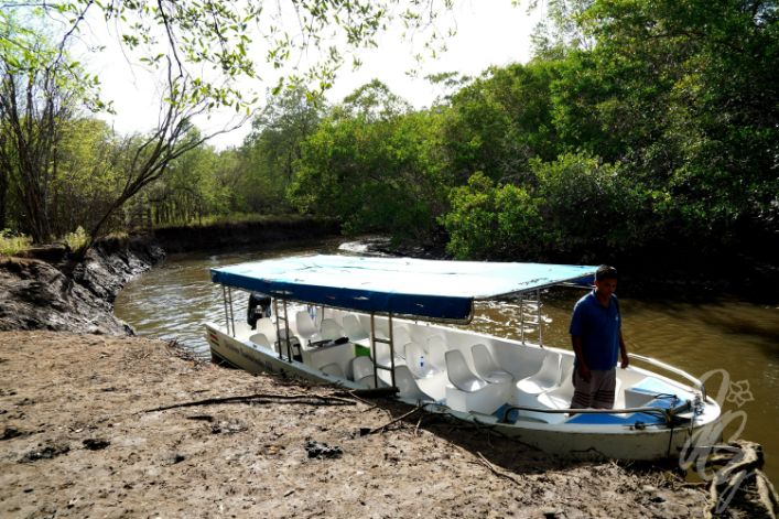 Estuary Tour near Tamarindo in Costa Rica