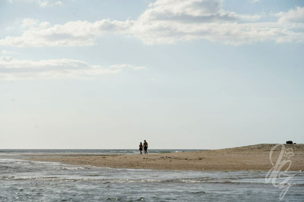 Estuary Tour near Tamarindo in Costa Rica