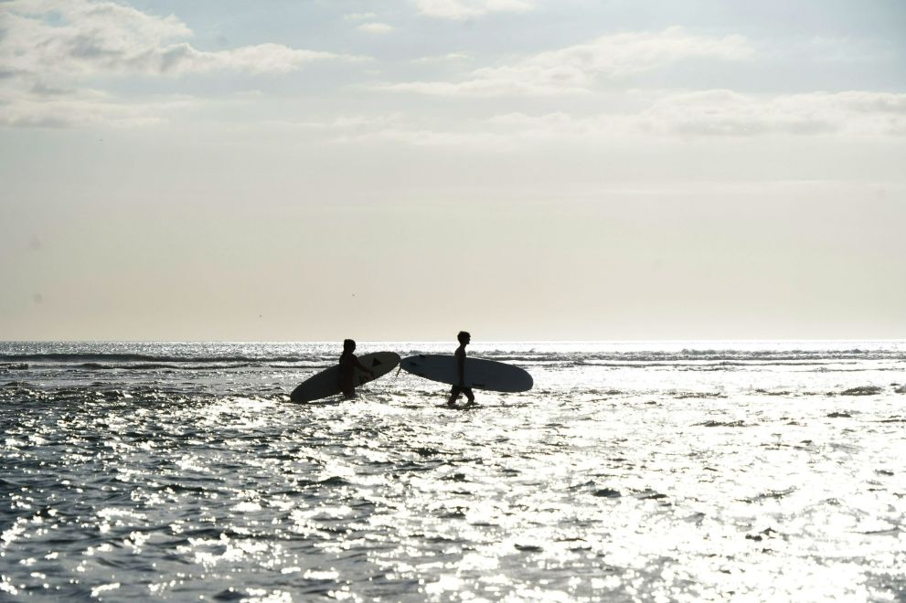 Estuary Tour near Tamarindo in Costa Rica