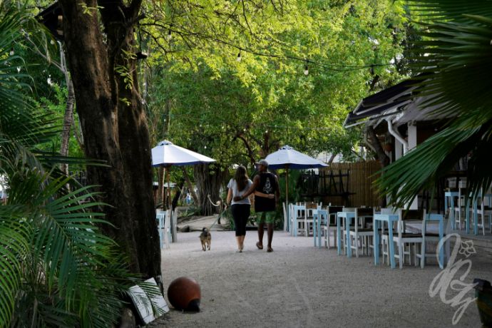 Tamarindo in Costa Rica