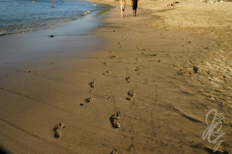 Tamarindo Beach in Costa Rica