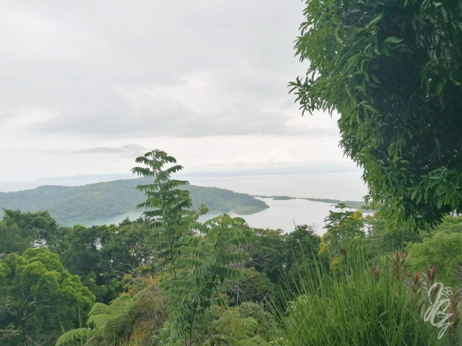 Walk to the viewpoints near Golfito in Costa Rica