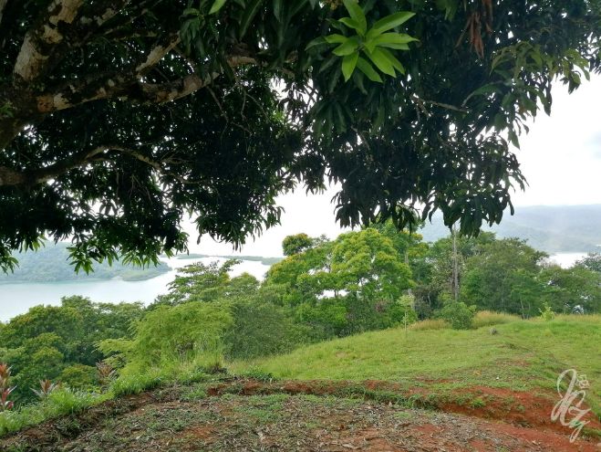 Walk to the viewpoints near Golfito in Costa Rica
