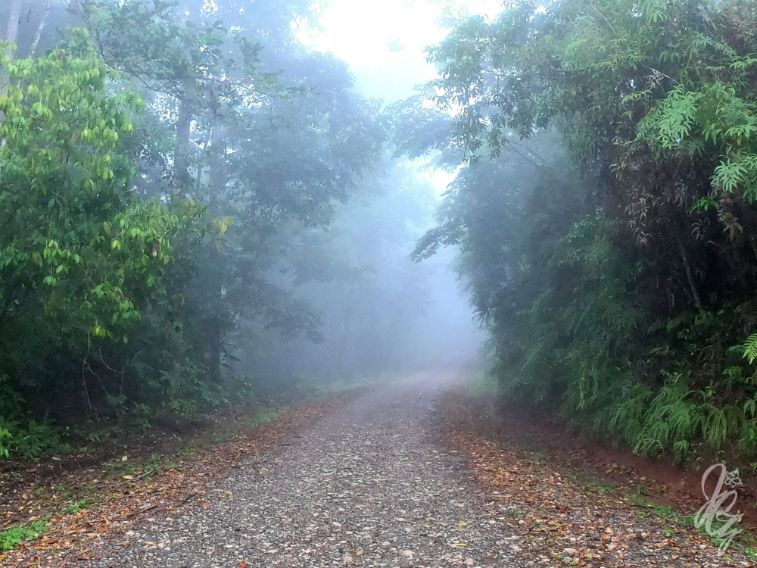 Walk to the viewpoints near Golfito in Costa Rica