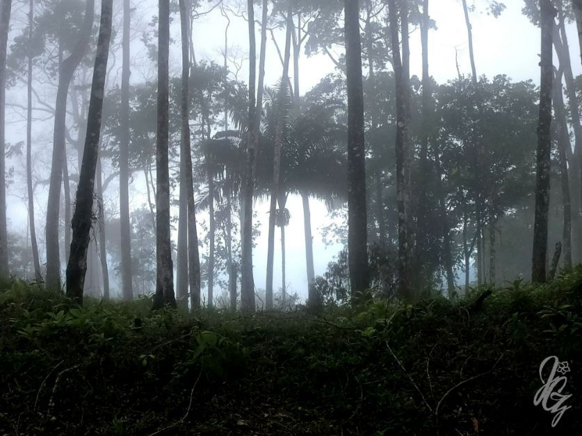 Walk to the viewpoints near Golfito in Costa Rica