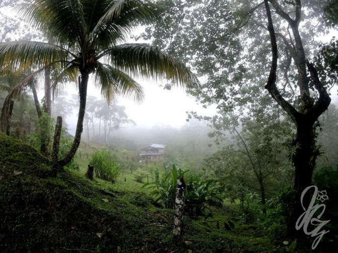 Walk to the viewpoints near Golfito in Costa Rica