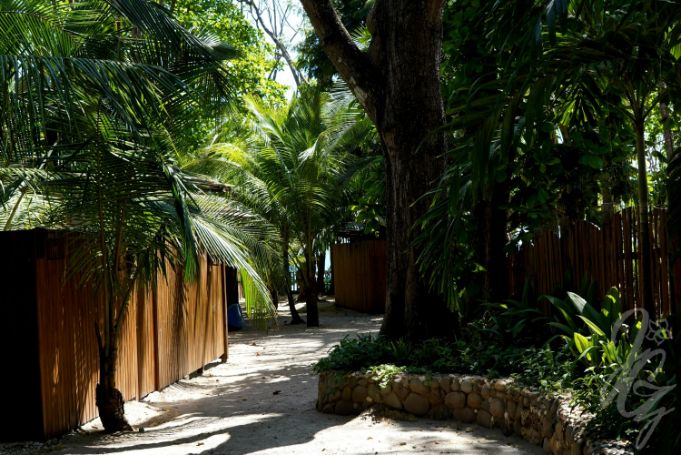 Zeneidas Surf Garden Hostel in Santa Teresa in Costa Rica