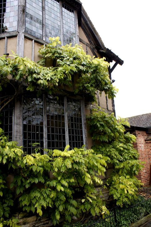 Hall's Croft in Stratford-Upon-Avon