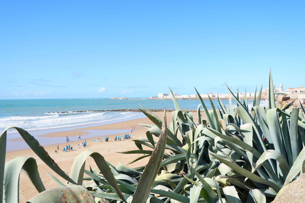The beach in Cadiz