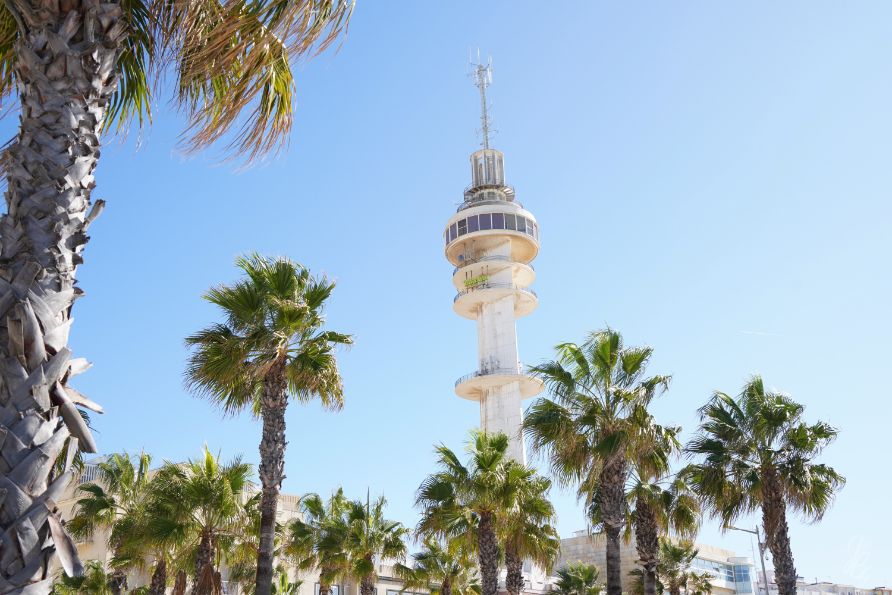 palm tress and TV tower in Cadiz