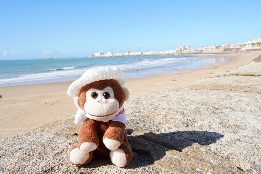 Charlie on the beach in Cadiz