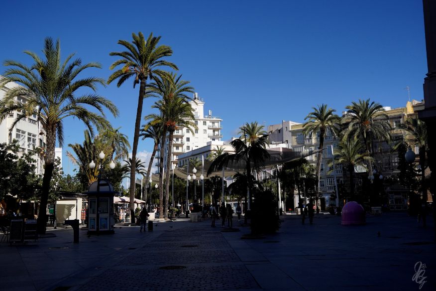 A square with palm trees in Cadiz