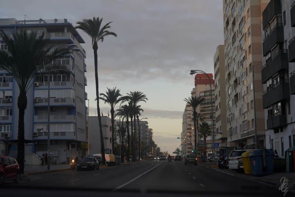 Street in Cadiz framed by palm trees