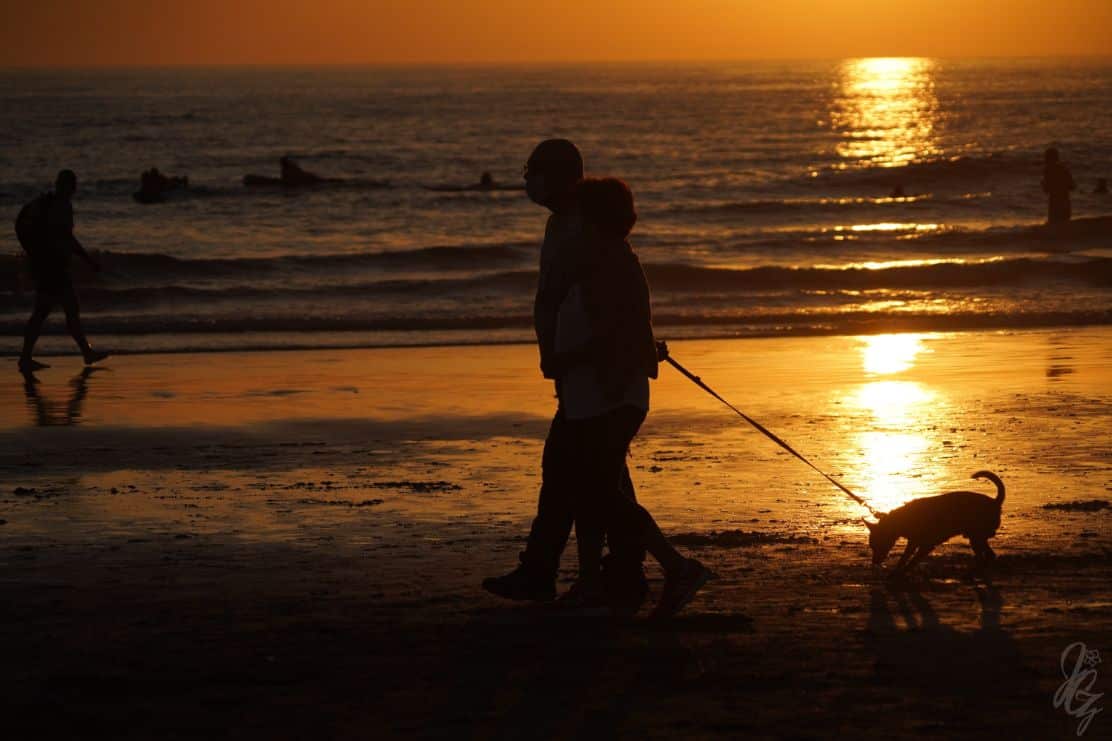 Couple walking their dog on the beach in El Palmar
