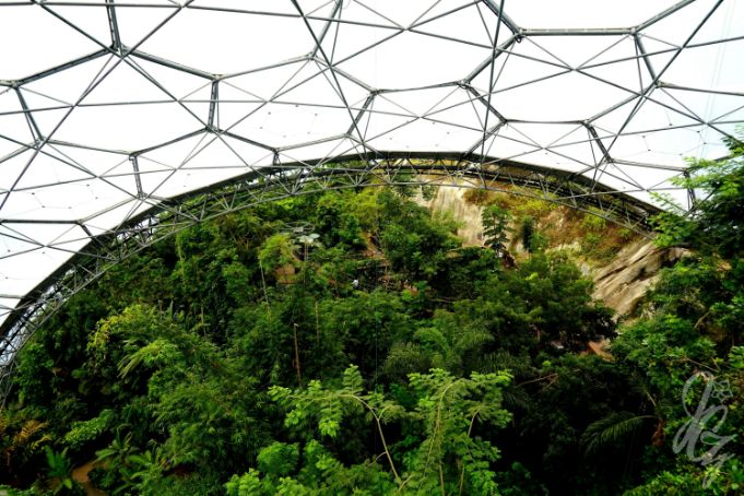 Rainforest at The Eden Project