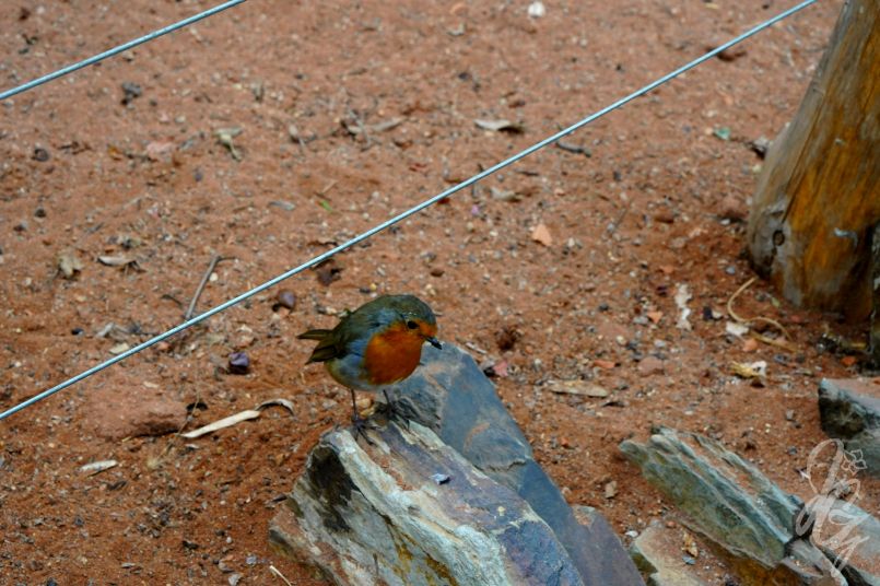 Mediterranean Biome at The Eden Project