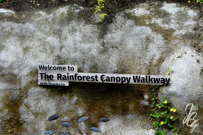 Rainforest at The Eden Project