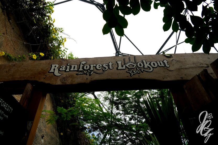 Rainforest at The Eden Project