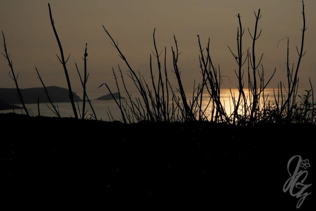 Fistral Beach