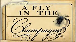 A fly in the champagne movie poster