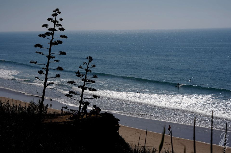 Waves at Fontanilla Beach in Conil