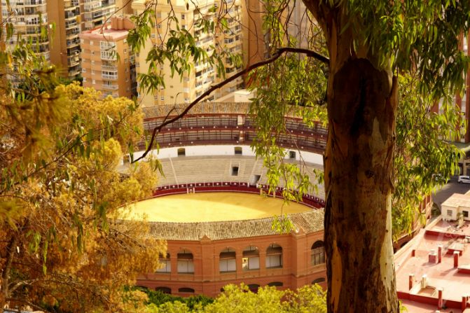 View from Gibralfaro Castle in Malaga