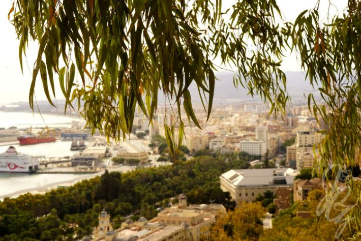 Malaga