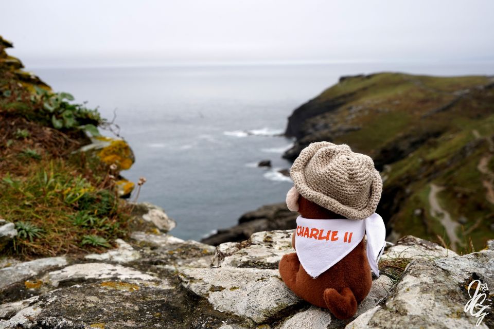 Charlie at Tintagel Castle