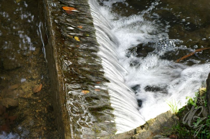 Trenance Gardens in Newquay
