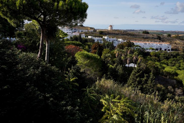 View from Vejer de la Frontera