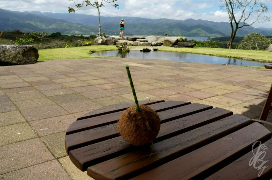 Pipa fria (coconut) in Costa Rica
