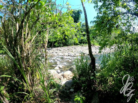 River near the Bamboo Forest in Uvita