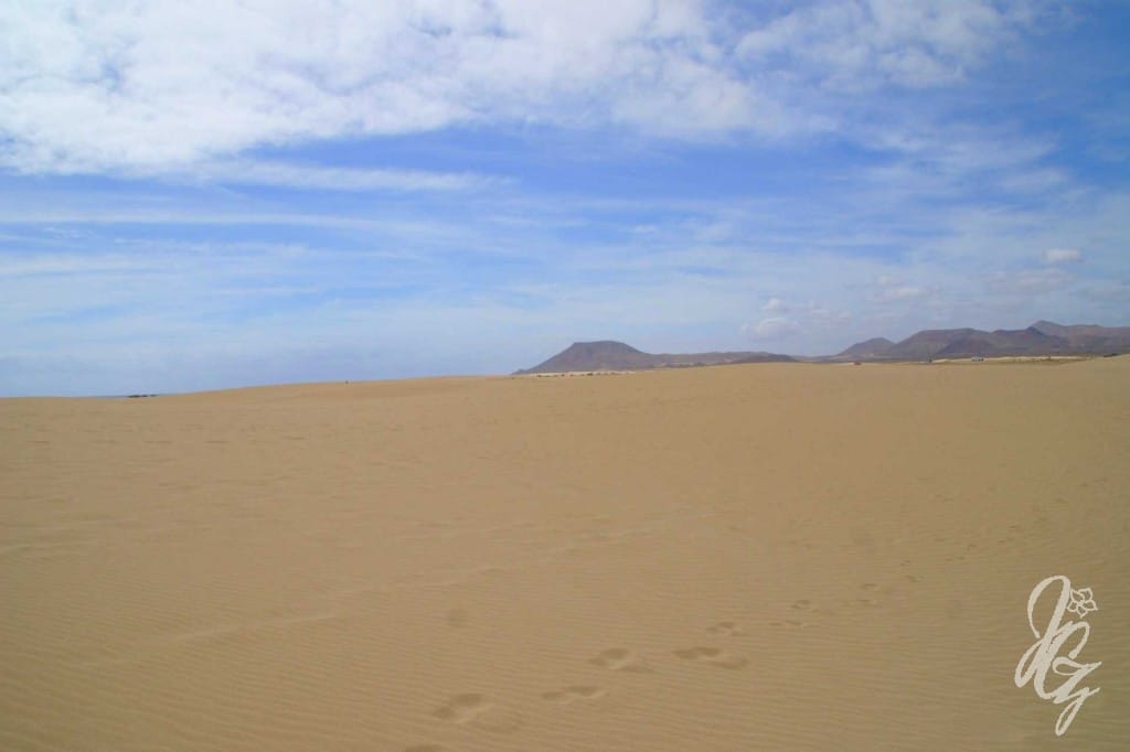 The dunes near Corralejo in Fuerteventura