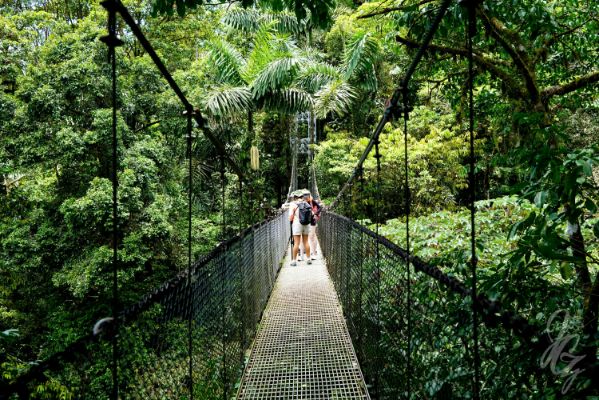 Hanging bridge in Costa Rica