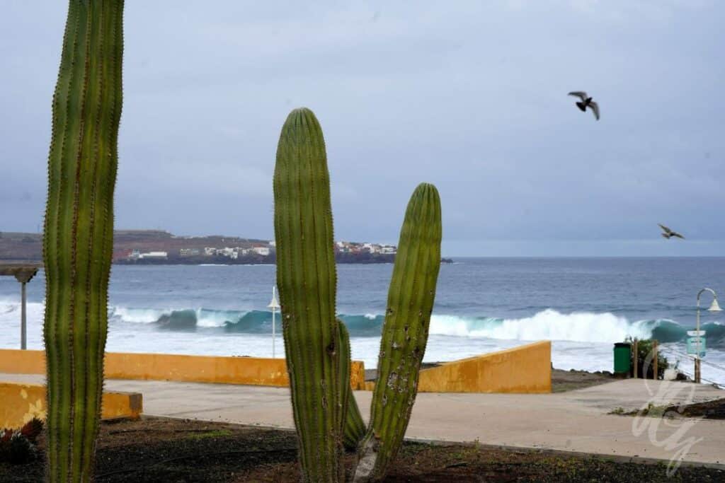 Playa Boca Barranco in Gran Canaria