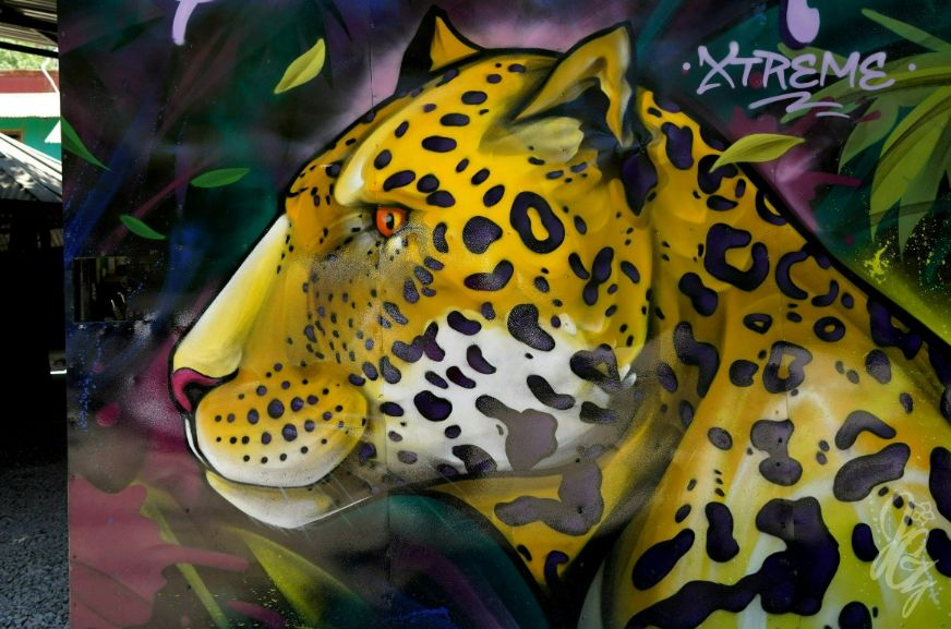 Mural in Santa Teresa, Costa Rica