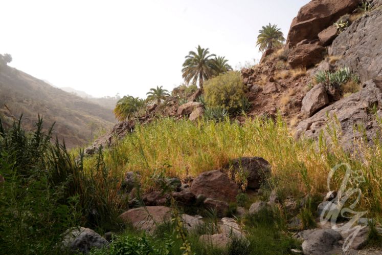 Sorrueda Valley in Gran Canaria