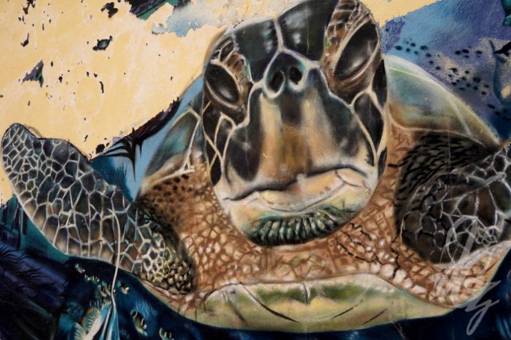 Street art in Las Palmas