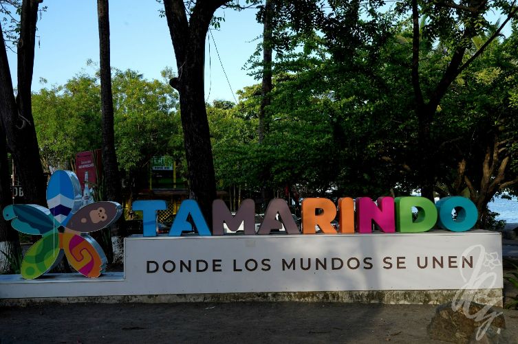 Tamarindo