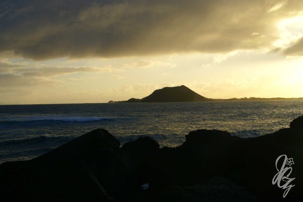 View from Corralejo towards the Isla de Lobos over the sea.